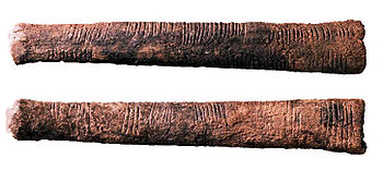 El hueso de Ishango, que data quizá de 18.000 a 20.000 a.C.