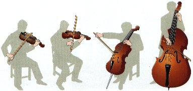 Featured image of post Instrumentos De Cuerda En Ingles La vibraci n causante del sonido se da gracias a la sujeci n de la cuerda o cuerdas por sus puntas de forma que queden tensadas