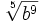 \sqrt[5]{b^9}