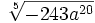 \sqrt [5]{-243a^{20}}