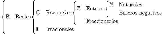 \begin{cases}         \mathbb{R} & \mbox{Reales}         \begin{cases}             \mathbb{Q} & \mbox{Racionales}                 \begin{cases}                     \mathbb{Z} & \mbox{Enteros}                     \begin{cases}                         \mathbb{N} & \mbox{Naturales} \\                                    & \mbox{Enteros negativos}                     \end{cases}\\                                 & \mbox{Fraccionarios}                 \end{cases}\\                        \mathbb{I} &  \mbox{Irracionales}         \end{cases}\\  \end{cases}