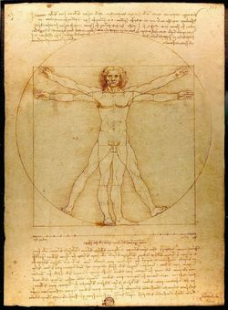 Fig. 8. En la representación del Hombre de Vitruvio Leonardo da Vinci no utiliza el número áureo, sino el sistema fraccionario propuesto por Vitruvio.