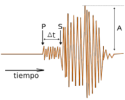 Como se muestra en esta reproducción de un sismograma, las ondas P se registran antes que las ondas S: el tiempo transcurrido entre ambos instantes es Δt. Este valor y el de la amplitud máxima (A) de las ondas S, le permitieron a Charles Francis Richter calcular la magnitud de un terremoto.