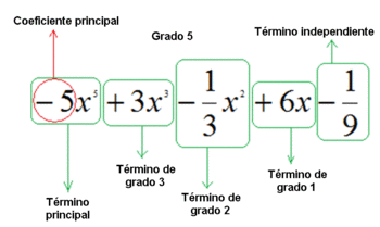 Elementos y grado de un polinomio
